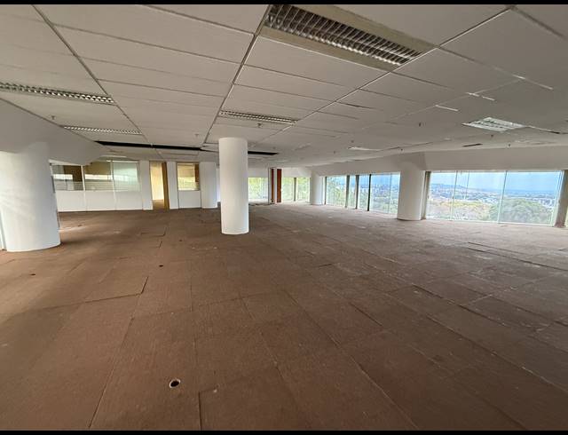 2,652M² OFFICE TO LET IN AUCKLAND PARK